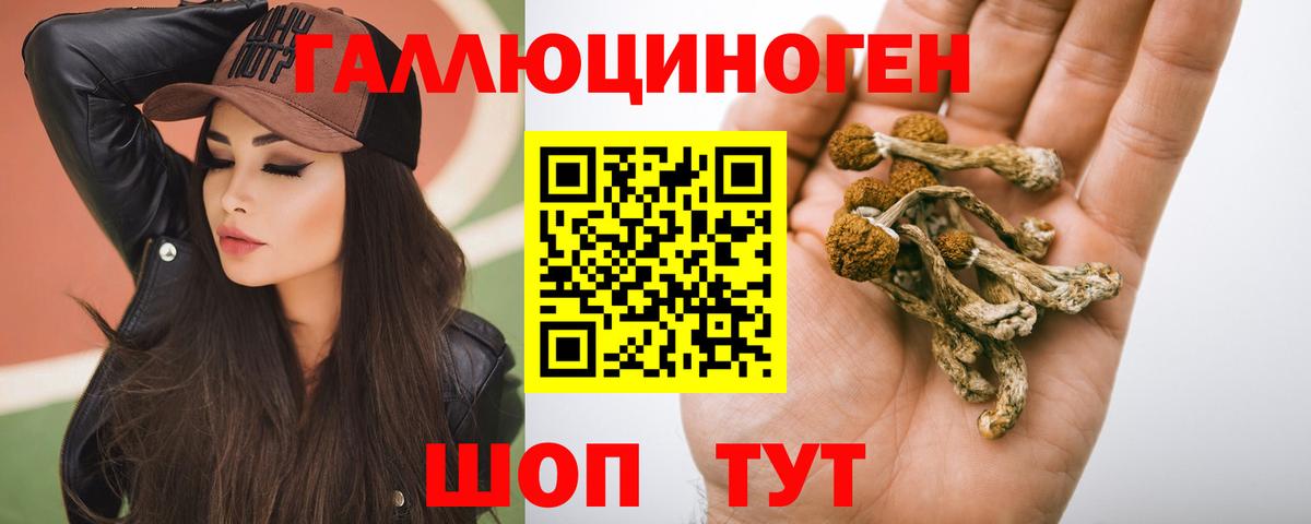 Галлюциногенные грибы MAGIC MUSHROOMS Осинники
