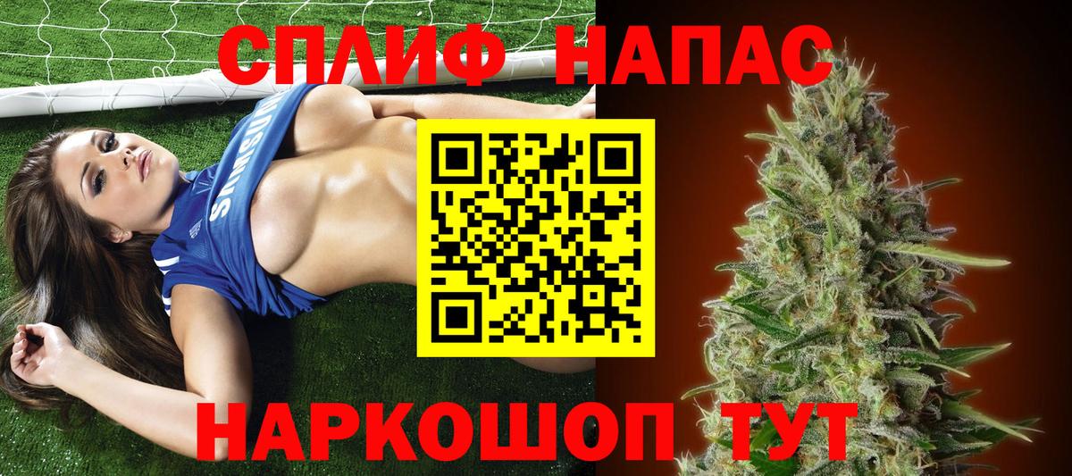 Конопля тримм  Вход с VPN  Бошки Шишки White Widow  Осинники 